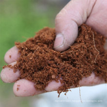 New arrival raw material nutrient soil organic coconut bran nutrient soil succulent potting soil for plants